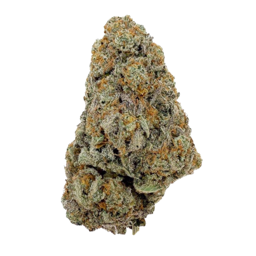 Buttercream Gelato THCX 2.0