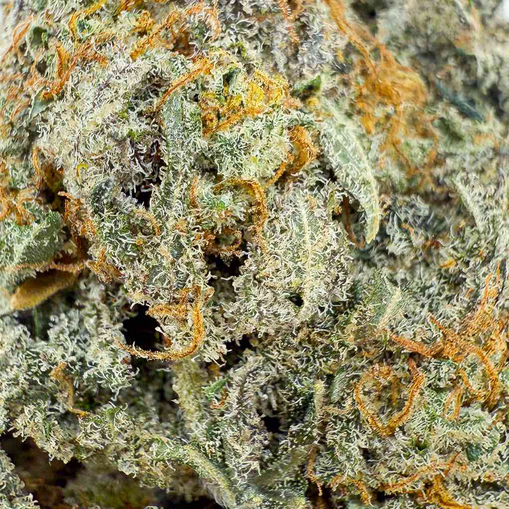Buttercream Gelato THCX 2.0 2