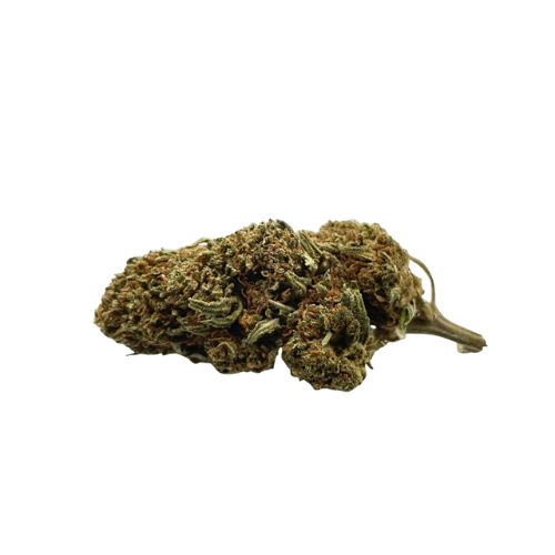 Jack Herer 2