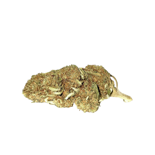 Jack Herer
