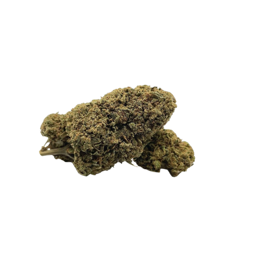 Mango Kush