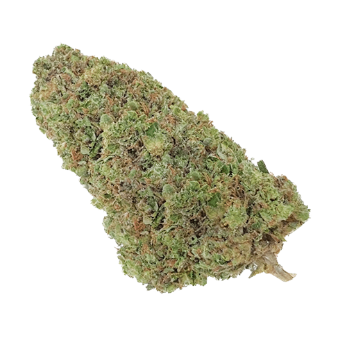 La Biscotti