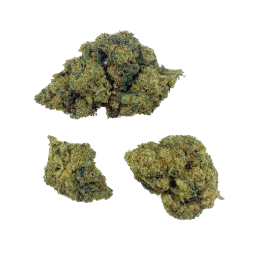 Amnésia Haze THCX 2.0 2