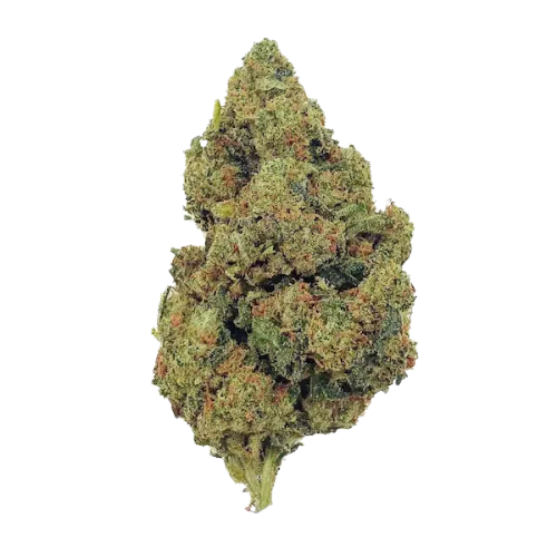 Amnésia Haze THCX 2.0